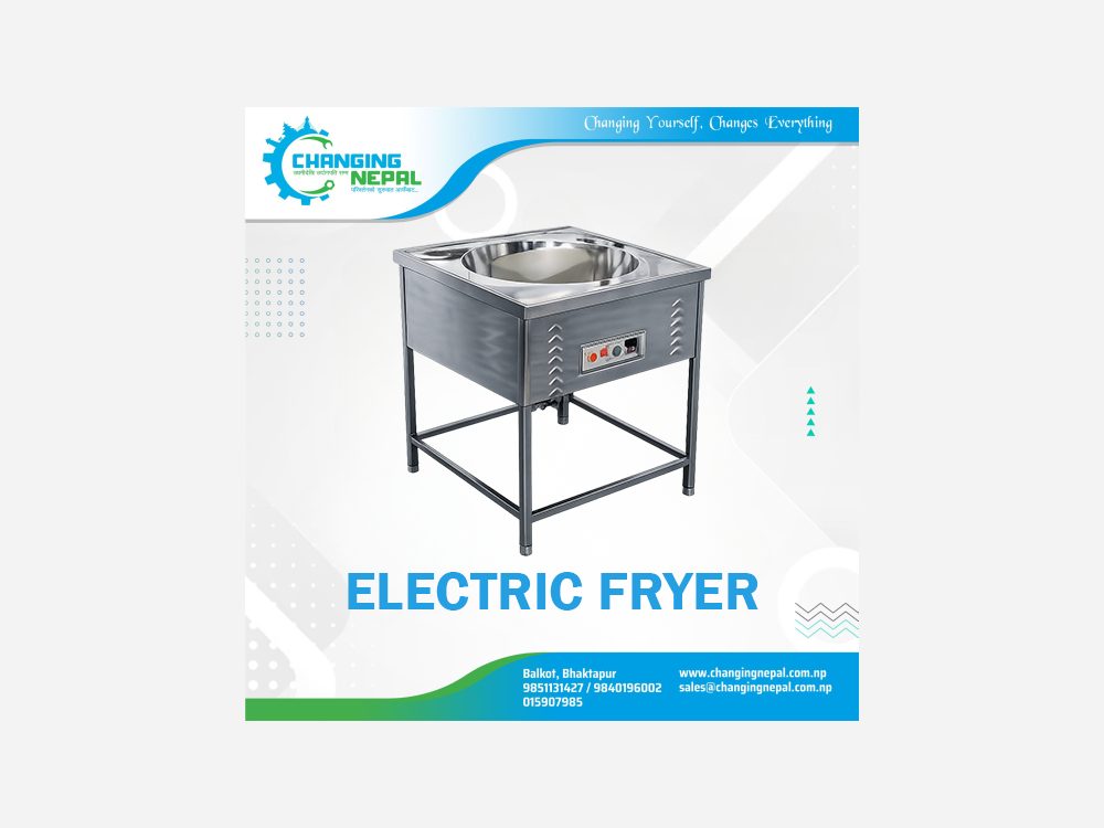 Electric Fryer