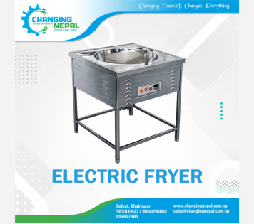 Electric Fryer