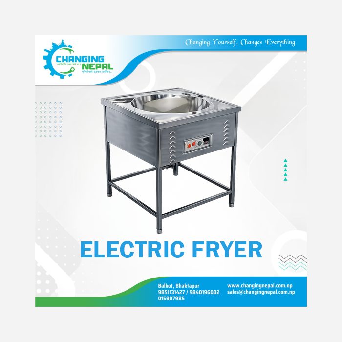 Electric Fryer