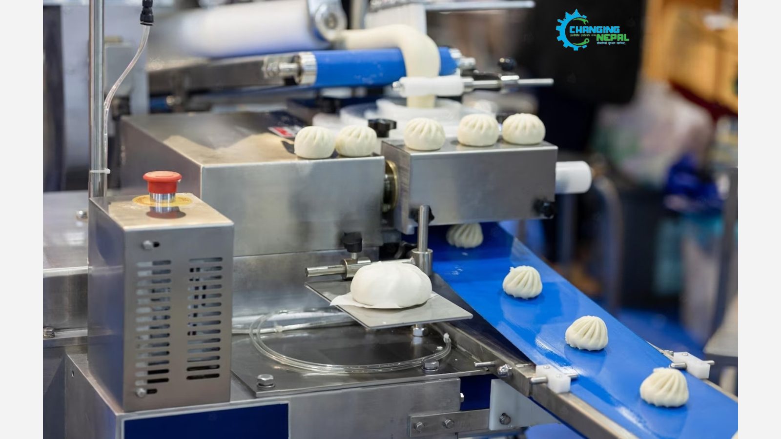 Momo Making Machine in Nepal: Price, Benefits, and Features