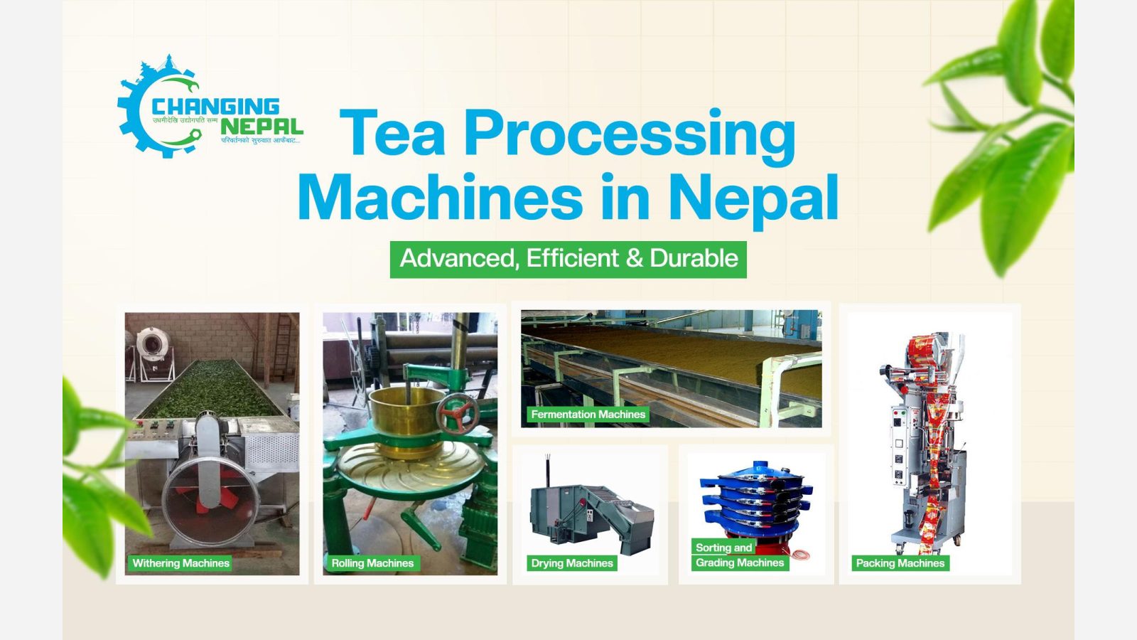 Tea Processing Machines in Nepal: Advanced, Efficient & Durable