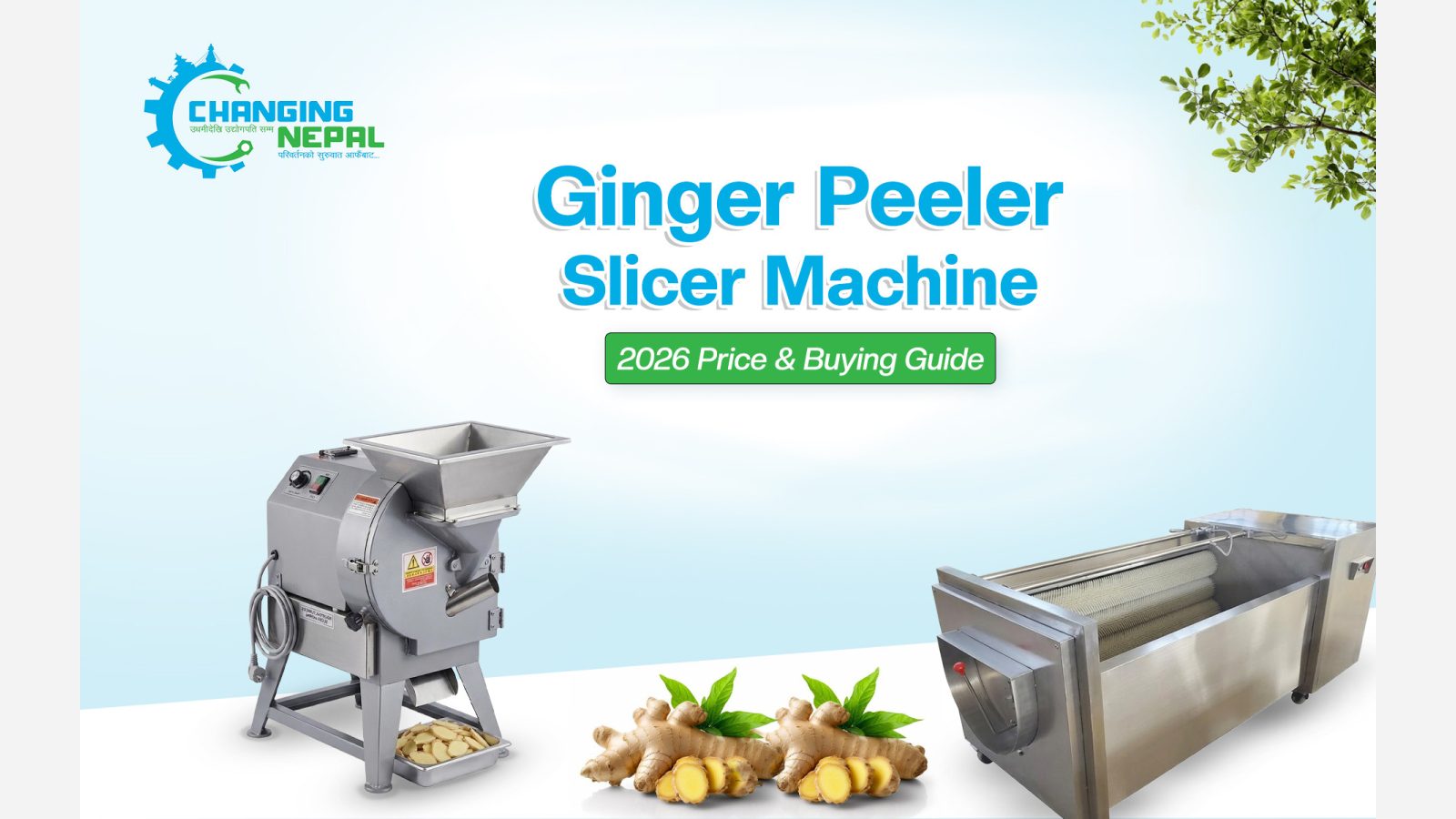 Ginger Peeler Slicer Machine: 2026 Price & Buying Guide