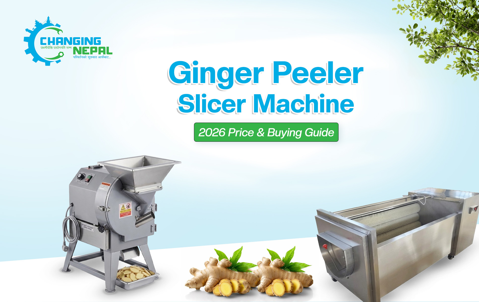 Ginger Peeler Slicer Machine: 2026 Price & Buying Guide