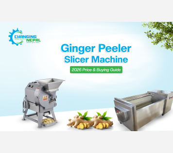 Ginger Peeler Slicer Machine: 2026 Price & Buying Guide
